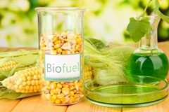 Fen Ditton biofuel availability