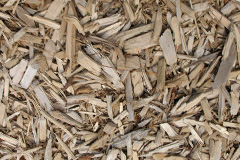 biomass boilers Fen Ditton